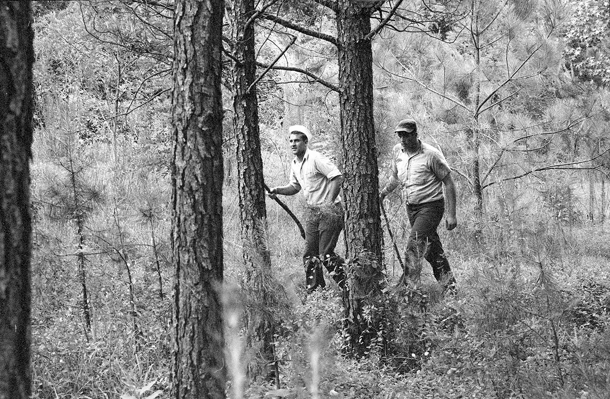 Men walk through the woods looking for the bodies of missing civil rights workers during Freedom Summer 1964.